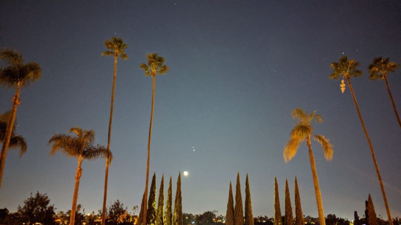 Moon, Jupiter, Saturn with an array of palm trees in the foreground.