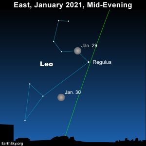 Moon and Lion's Heart rise mid-evening January 29 and 30 | Tonight - Vimarsana News
