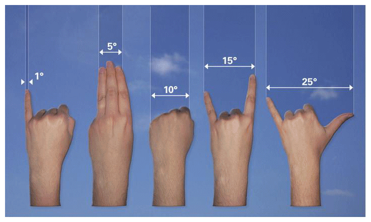 Five hands with fingers extended in various configurations, showing different widths.