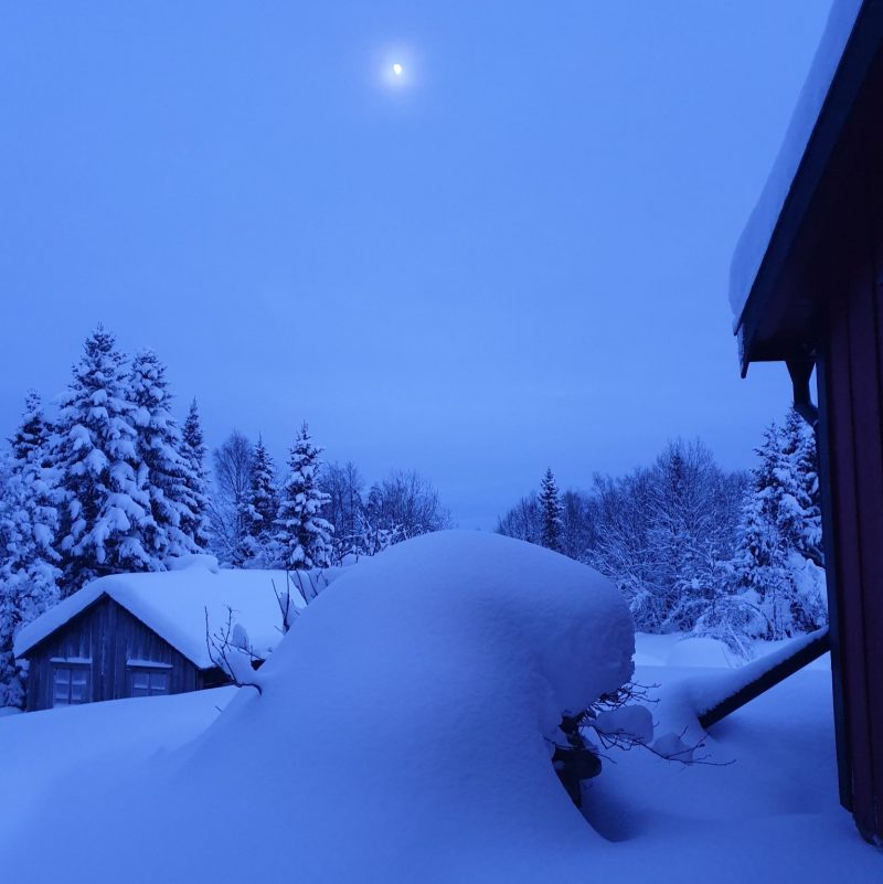 Thick snow covers landscape, evergreens, roof of small building.