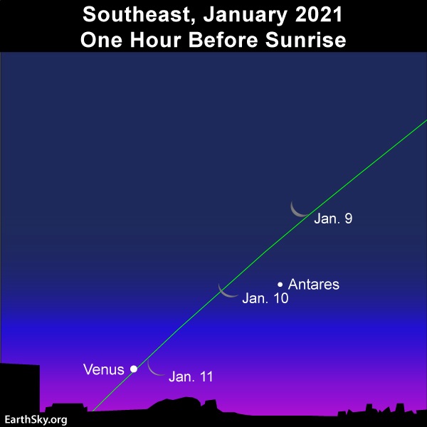Moon swings by the star Antares and the dazzling planet Venus in the January 2021 morning sky.