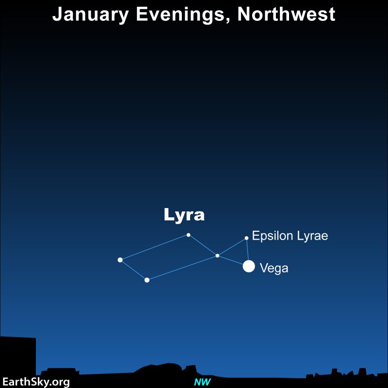 Chart showing star Vega and constellation Lyra, in the northwest on January evenings.