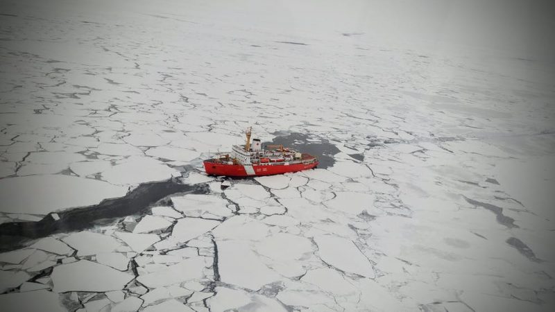 Wide field of ice with red ship making a path of dark water among the floes.