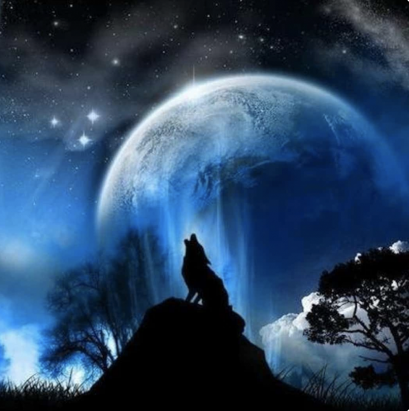 Giant full moon over mountains with silhouetted howling wolf.