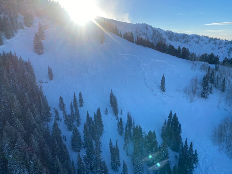 Mountain slope with snow broken off ridge and tops of trees sticking up through the snow.