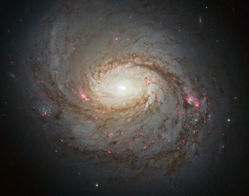 čelní spirální galaxie s jasně nažloutlým středem a růžovými skvrnami podél paží.