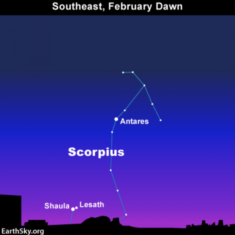 Star chart showing stars Shaula and Lesath in the Tail of constellation Scorpius.