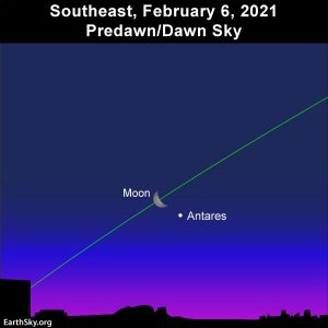Waning crescent moon and the ruddy star Antares adorn the predawn/dawn sky on February 6, 2021.