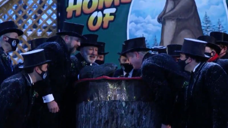 Men in tuxes and top hats at dawn, on a stage, leaning in toward a live groundhog.