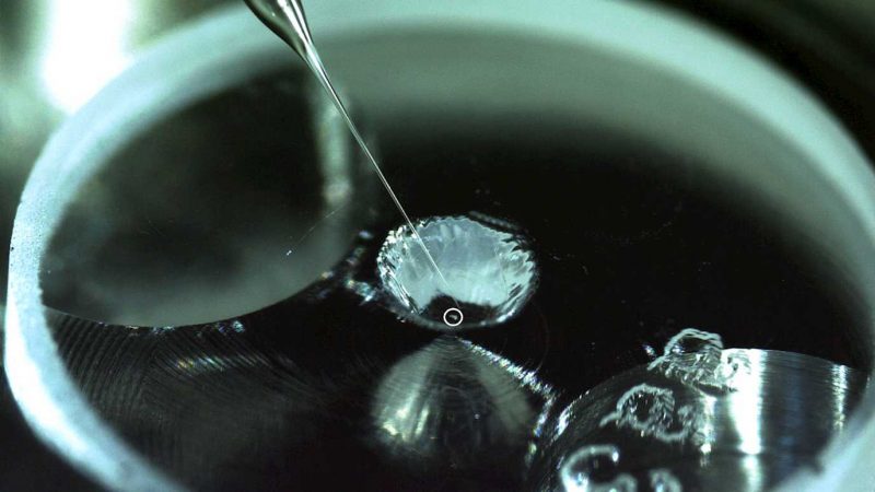 Tiny sand-like grain in a lab dish with long needle-like instrument pointed at it.