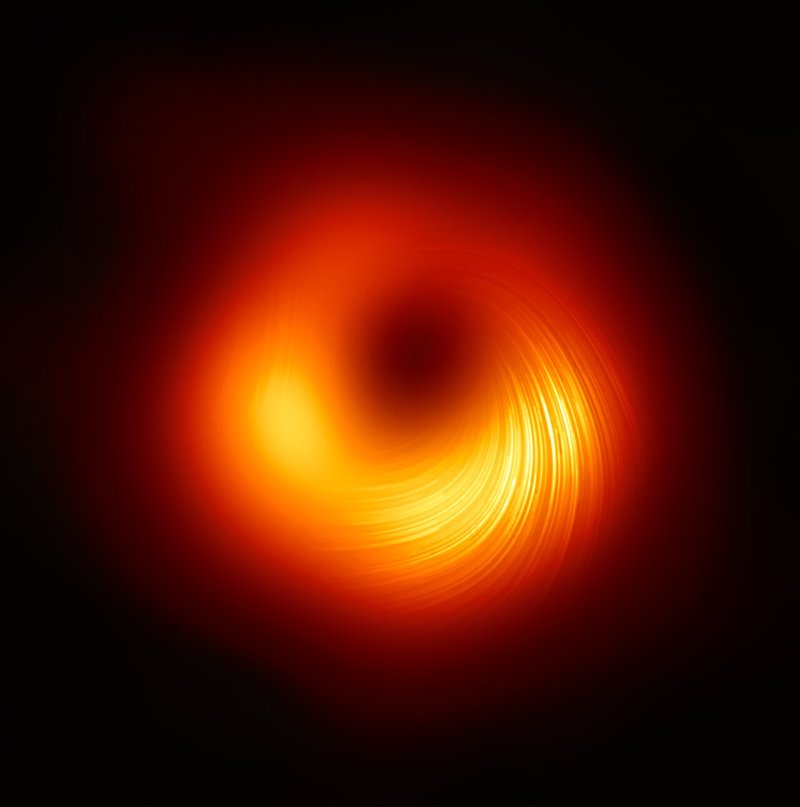 Yellow-orange donut-shape with many fine concentric black lines in it, on black background.
