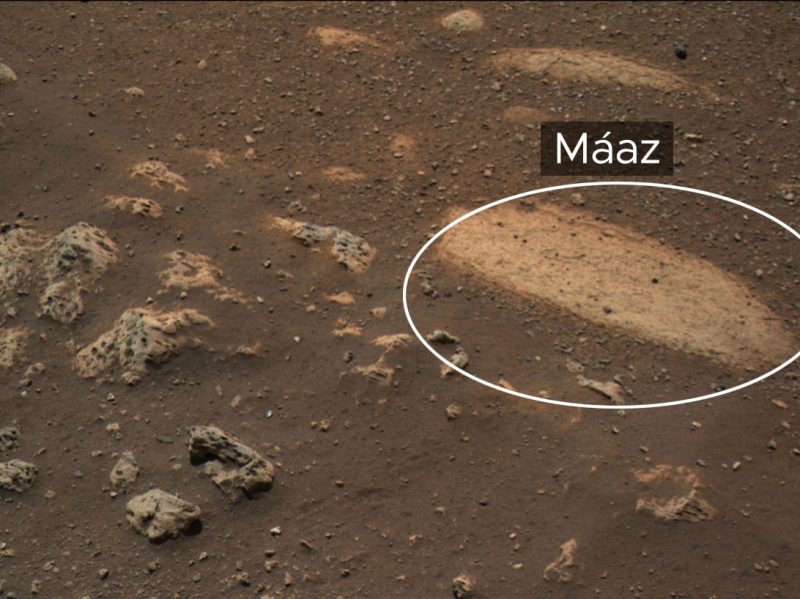 Light-colored rocks on dark sand with labeled oval drawn around the largest rock.