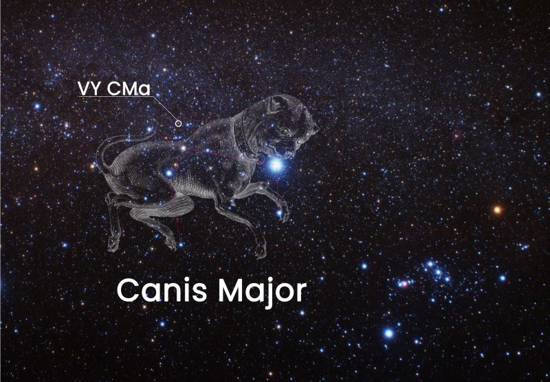 Outline of Canis Major constellation with text annotations.
