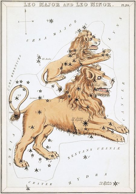 Antique colored etching of large and small lions with labeled black stars scattered over them.