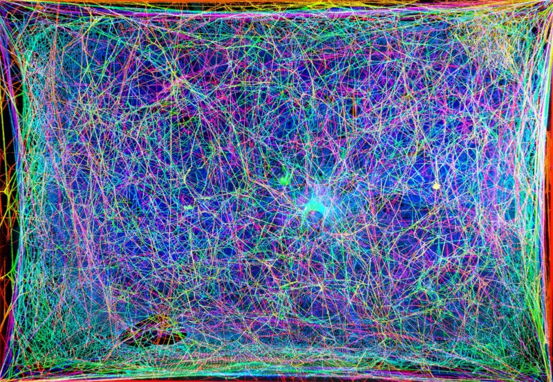 Dense, complex network of threads in many colors.