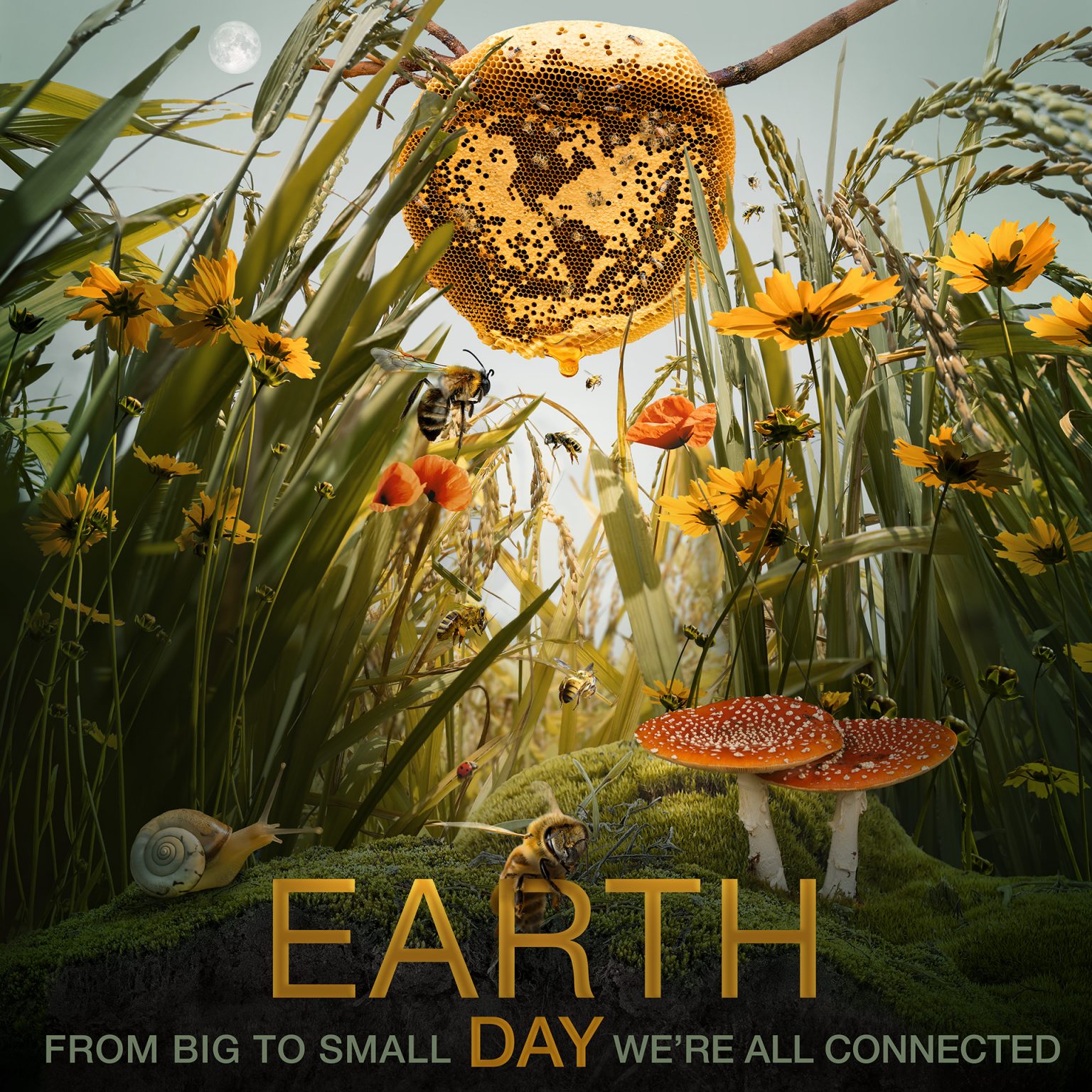 earth_day_2021-nasa-poster | EarthSky