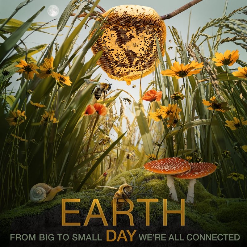 Colorful poster for Earth Day with grass, small critters, mushrooms and flowers, and a large honeycomb in the center.
