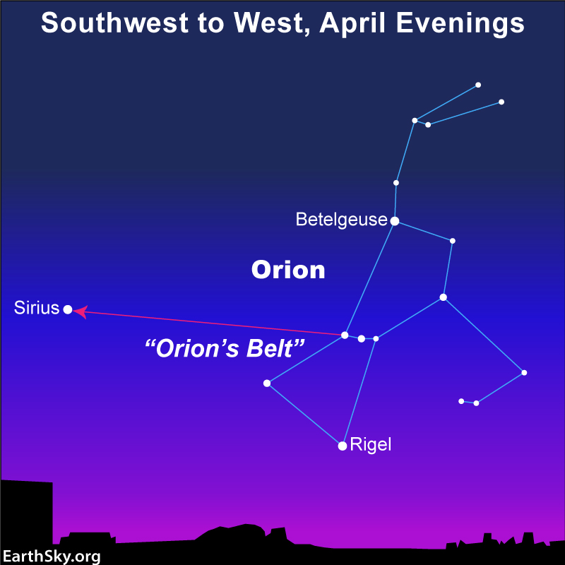 Star-hopping: Dots and lines forming Orion with red line and arrow pointing to Sirius.