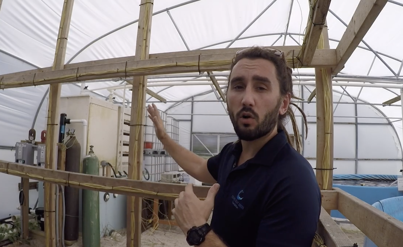 Bearded man gesturing and explaining a structure inside a fabric greenhouse with a shark pool to the right.