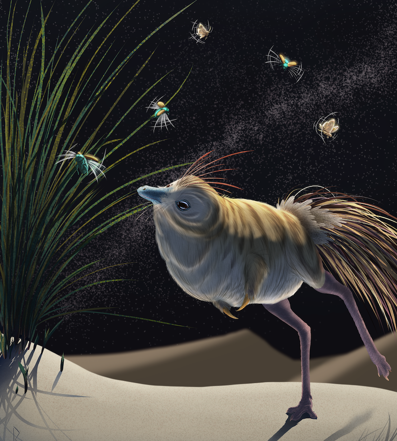This nocturnal dinosaur had owl-like night senses | Earth