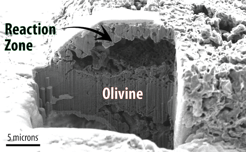 Microscopic rock labeled Olivine with large cavity labeled Reaction Zone.