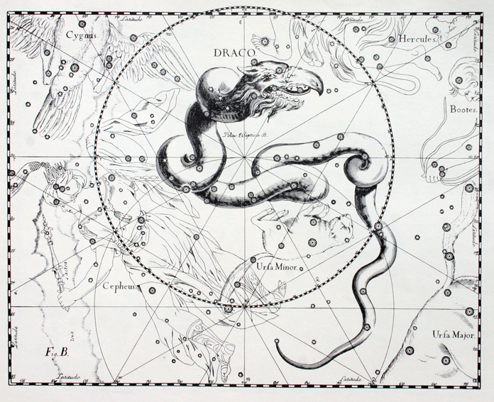 Draco: Antique etching of curling, writhing snake-like dragon with scattered stars.