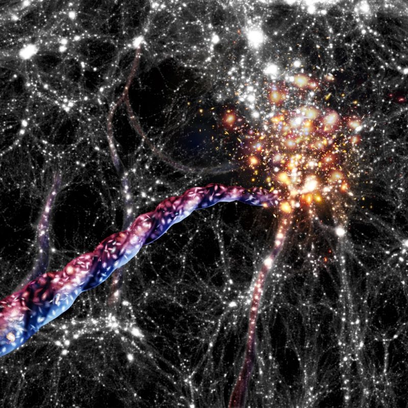 Huge twisted cosmic rope, half red and half blue lengthways, within scintillating web-like arrangement of very many bright dots.