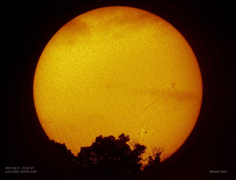 Solstice sunset: a large yellow orb with sun details and some tree silhouettes in the foreground.