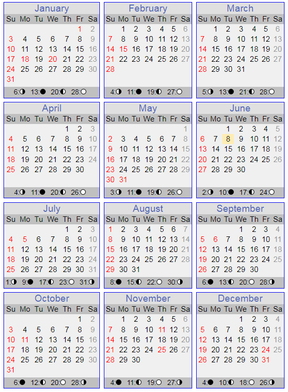 Calender for the year 2021 with Sundays in red.