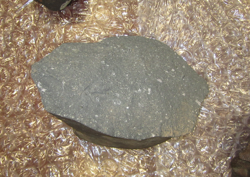 A slice through an oval-shaped rock, grey with white specs on the cut surface.