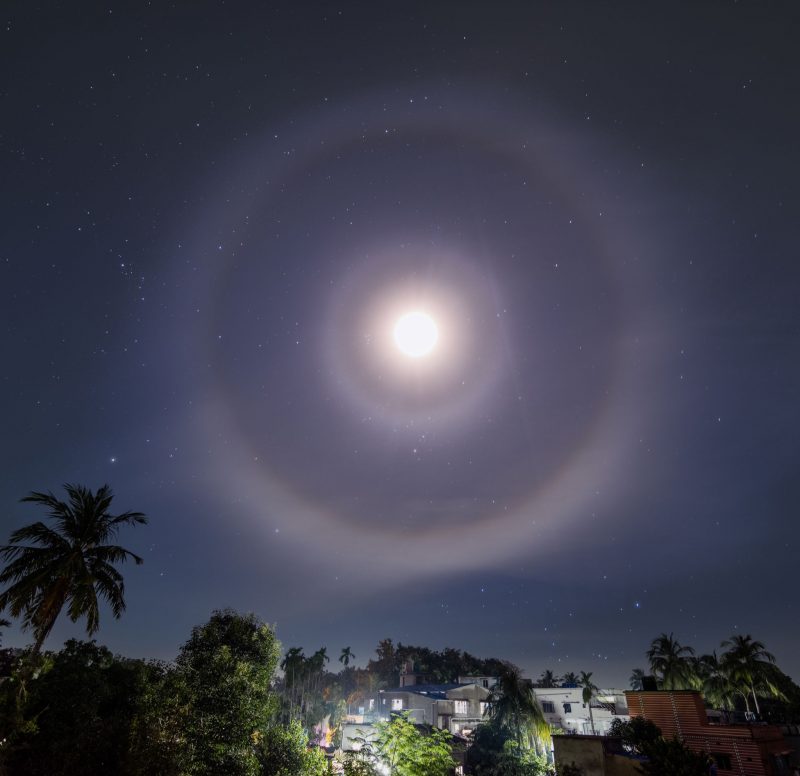 Multiple rings of light around the moon in hazily starry sky above palm trees.