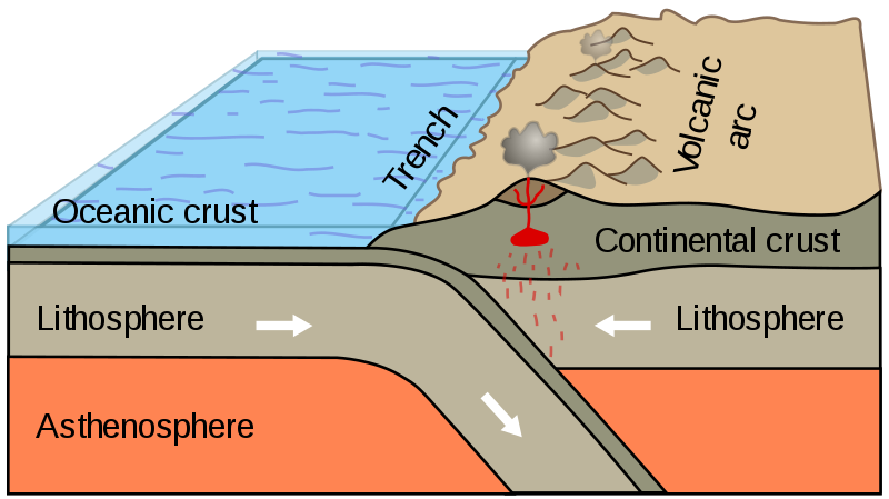 A diagram showing ocean crust from a heavier tectonic plate bent downward as it enters the Earth's  mantle under the lighter tectonic plate over it.