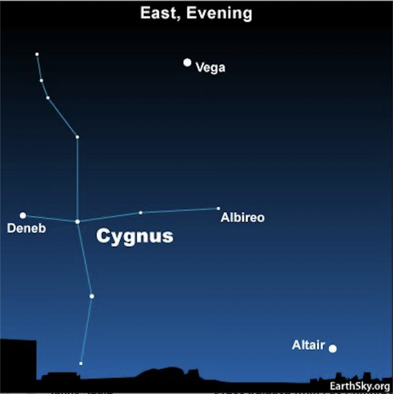 Star chart showing the constellation Cygnus and four labeled stars.