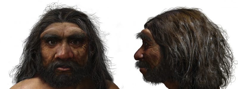 Front and side view of hairy bearded man with large brow ridges.