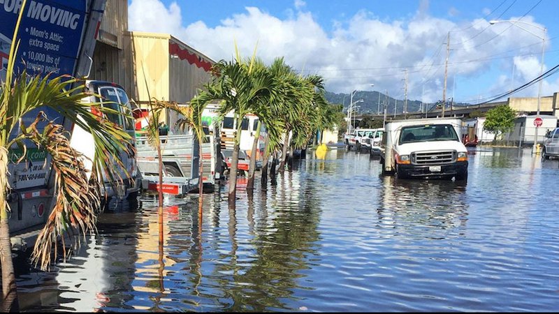 Coastal flooding in Honolulu, with a water-covered street.