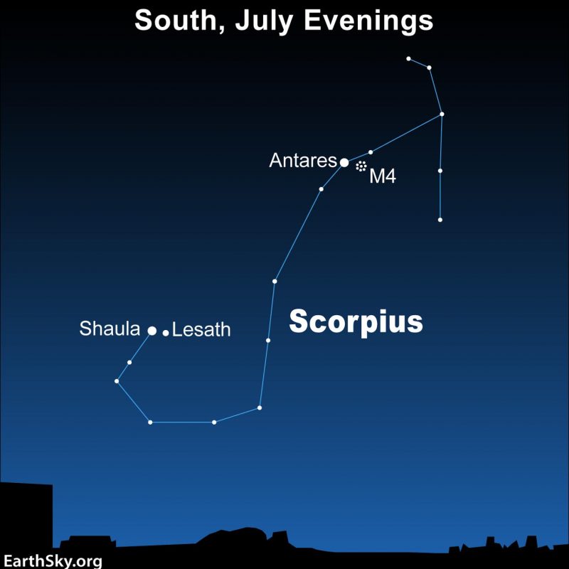 M4: A chart showing Scorpius, a constellation shaped like the letter J, on a blue background.