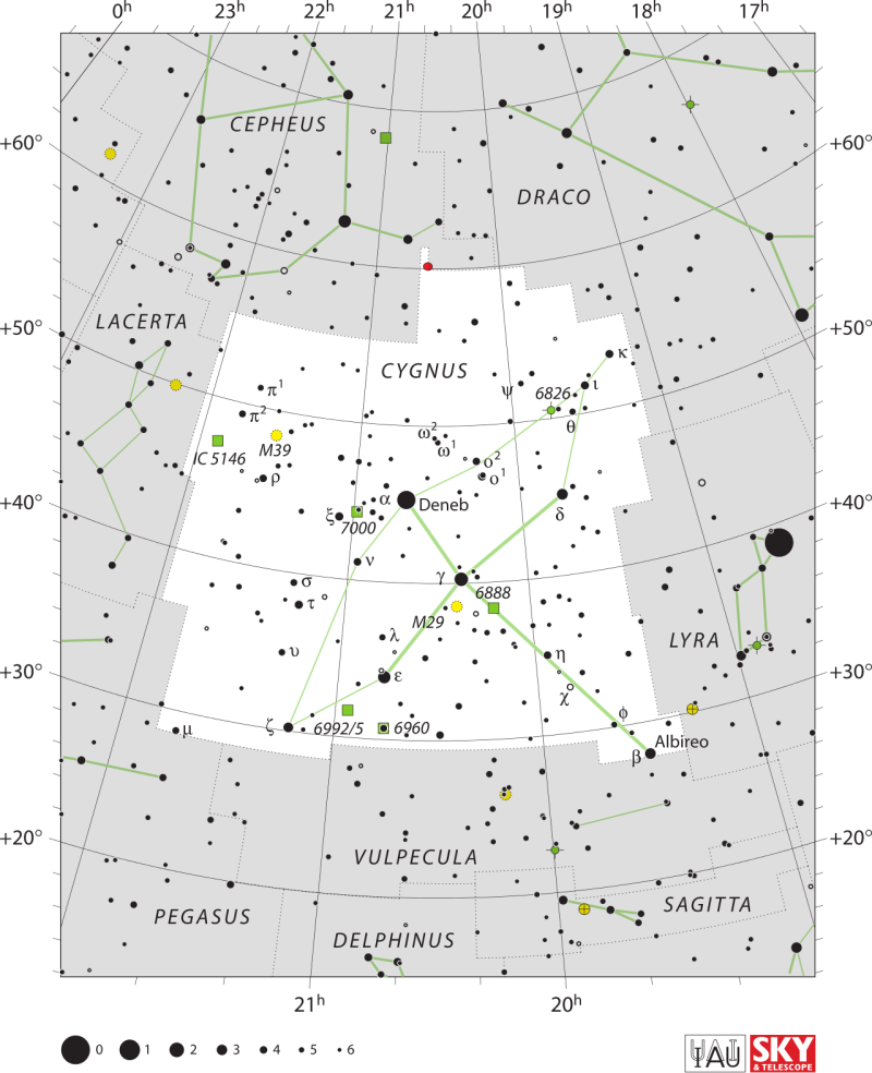 Star chart with stars in black on white with constellation Cygnus the Swan, and nearby Lyra the Harp.