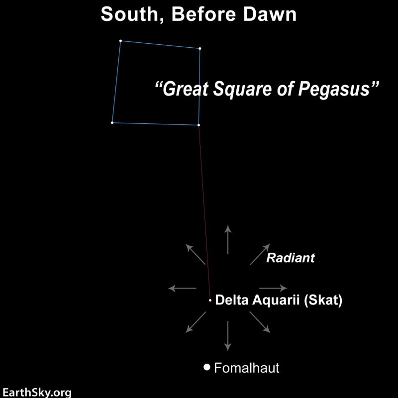 Star chart with radial arrows from a spot below Great Square of Pegasus and above Fomalhaut.