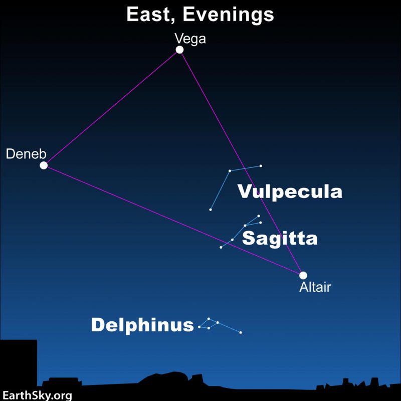 Star chrt showing Summer Triangle, and the constellations Delphinus, Vulpecula and Sagitta.