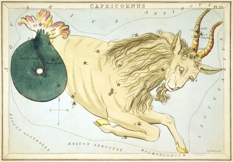 Antique colored etching of a goat with a curled fish tail and scattered stars in black.