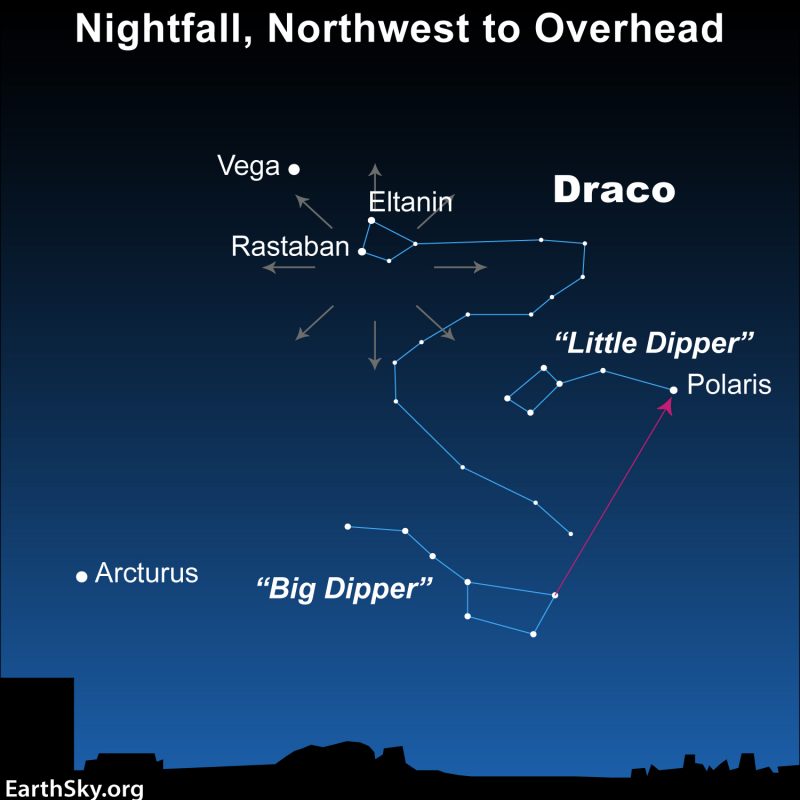 Draconid meteor shower: Star chart with constellations and stars labeled, and set of radial arrows near constellation Draco.