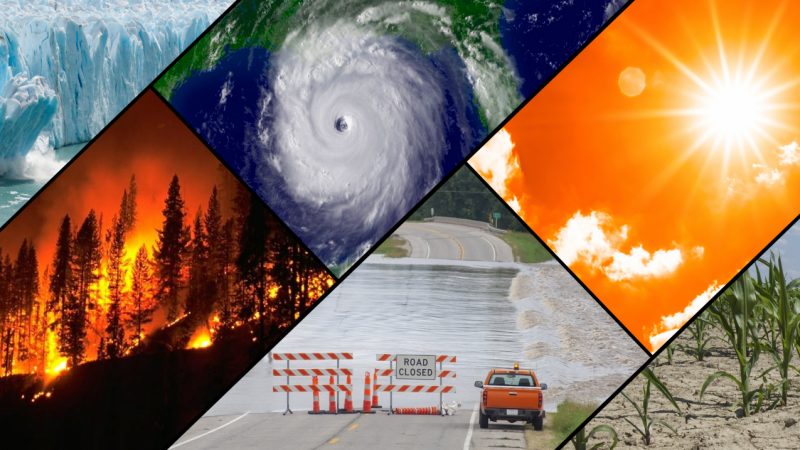 July 2021 Earth’s hottest month: Six photos of natural disasters.