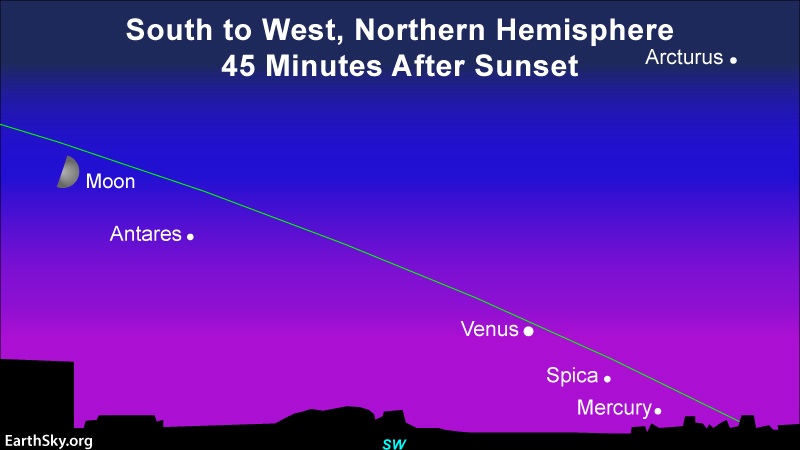 Chart with quarter moon, Antares, Venus, Spica, with Mercury close to horizon, all nearly along shallow ecliptic line.