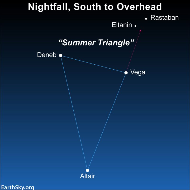 Star chart of Summer Triangle with line pointing to dragon's eyes stars.