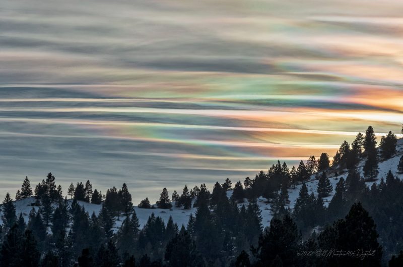 Iridescent clouds: Colorful clouds above a tree-and-snow-covered ridgeline