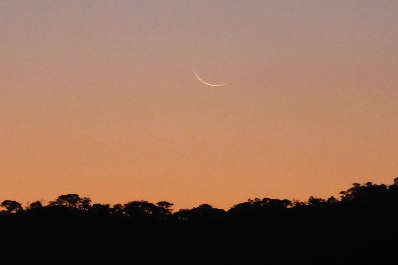 Young moon on August 9, 2021.