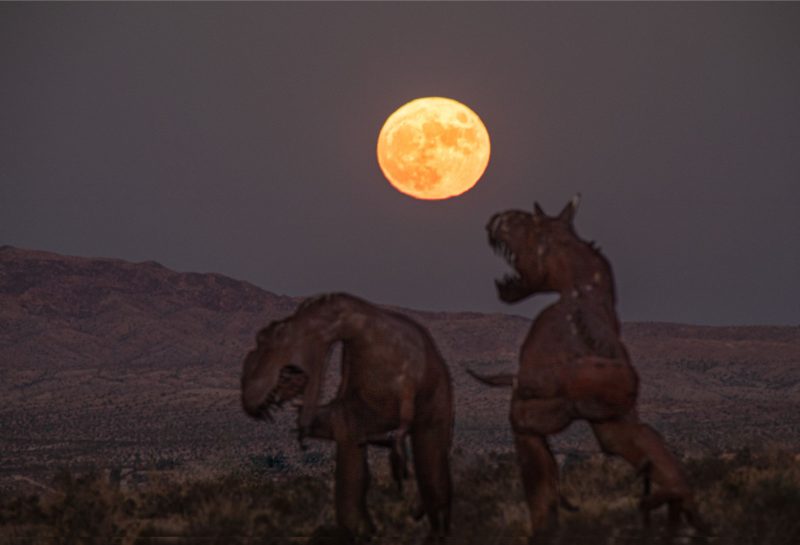 Two dinosaurs in foreground with desert landscape and full moon rising behind.