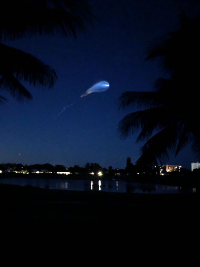 A white blur trails across a dark blue night sky with silhouettes of palm trees in the foreground.