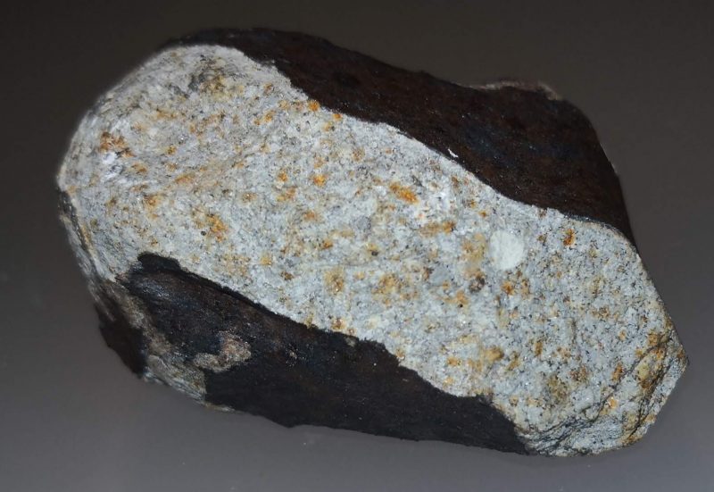 Rock with black scorched surface, cut to reveal center of gray with small yellow-brown splotches.