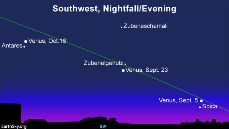 Stars Aligned: Your Guide to This Week's Night Sky Stars Aligned: Your Guide to This Week's Night Sky